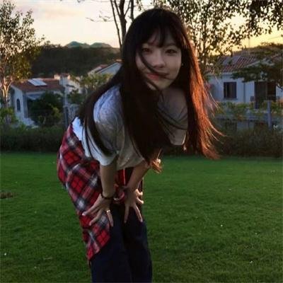 驯鹰者的崛起
